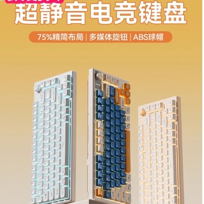 机械感电竞游戏专用笔记本外接静音键盘鼠标套装办公电脑有线小型