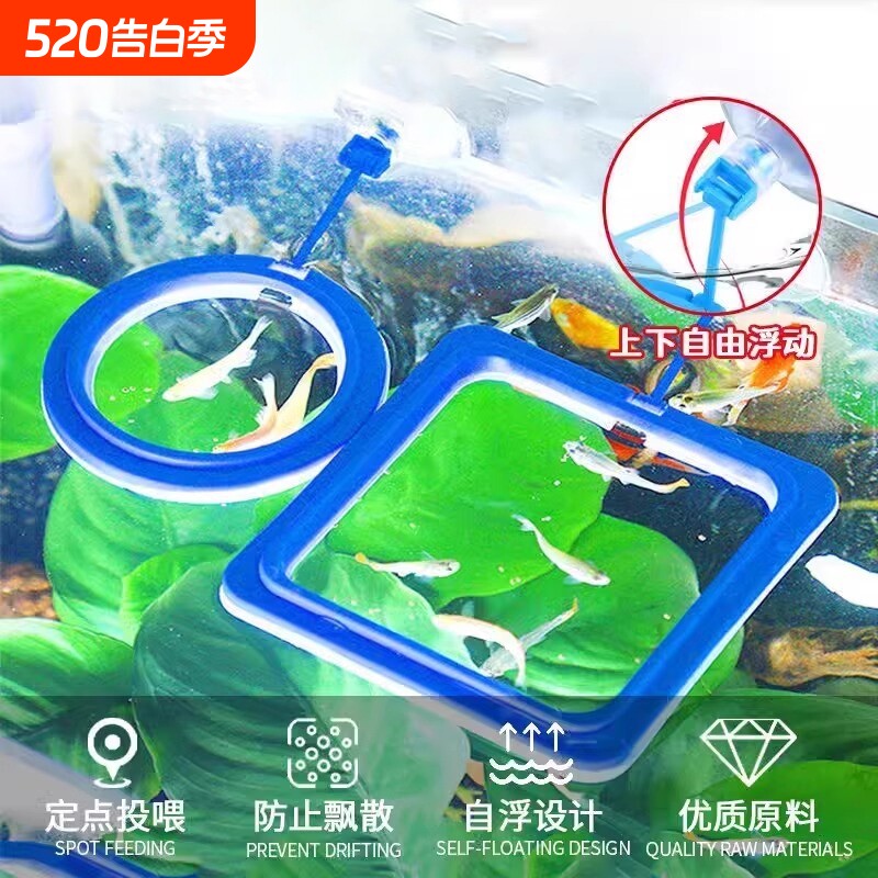 鱼缸喂食圈悬浮定点投喂鱼饲料飘喂食器圆形固定漂浮投食鱼儿水面