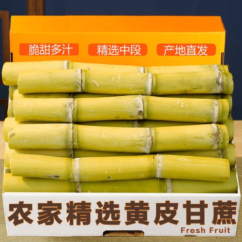 云南黄金甘蔗甜而不腻满口爆汁