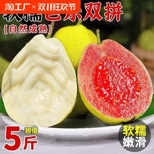 软糯芭乐双拼5斤新鲜水果应当季软糯番石榴胭脂红巴乐整箱树上熟