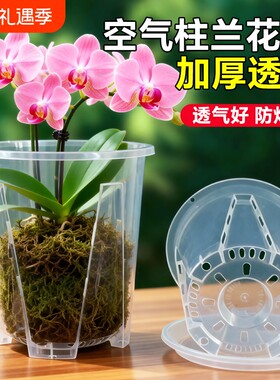 蝴蝶兰专用花盆透明控根塑料透气加厚兰花高端青山托盘空气柱阳台