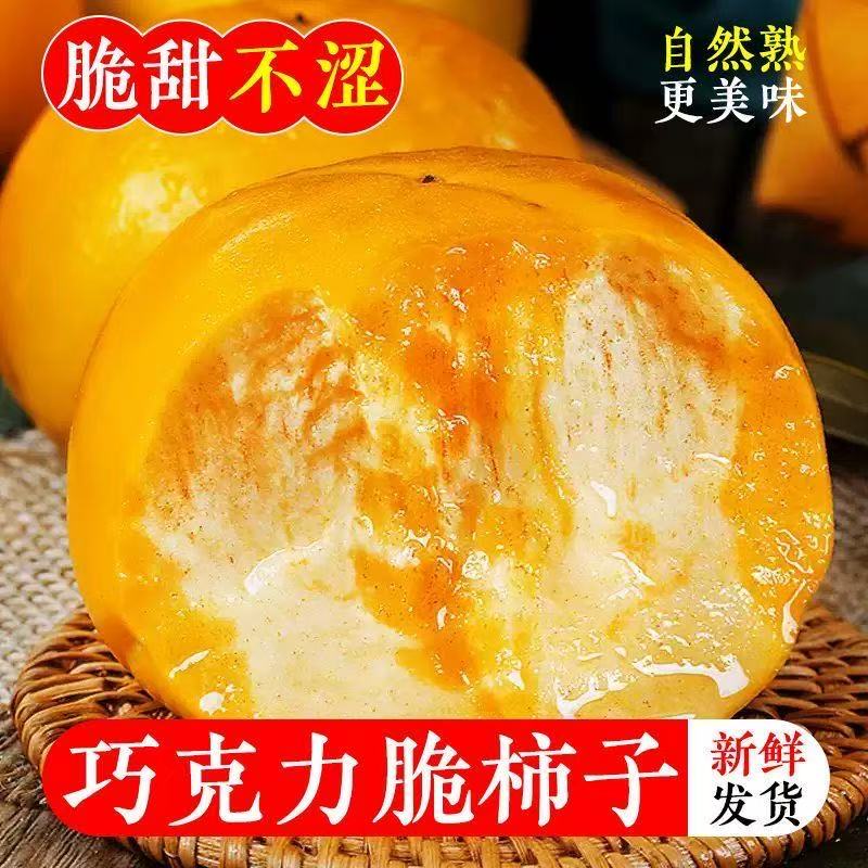 现摘脆柿子新鲜巧克力硬柿子水果整箱批发时令无核脆柿甜柿子软柿