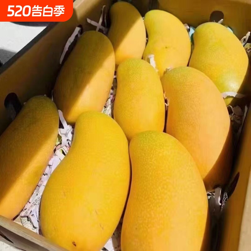 爆甜海南金煌芒果5斤应季新鲜水果薄皮青芒大芒果整箱批发大果