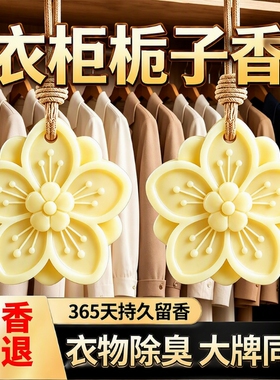 石膏香薰蜡片室内香味神器持久留