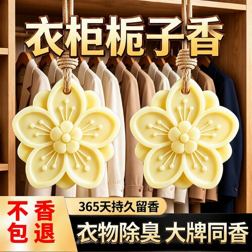 石膏香薰蜡片室内香味神器持久留