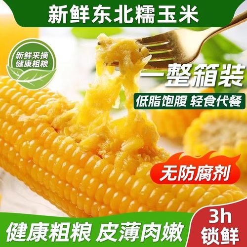 东北香甜黄糯玉米新鲜现摘真空装加热即食黏糯玉米棒