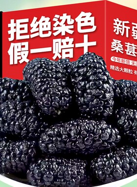 新货新疆黑桑葚干吐鲁番特产桑椹干即食泡酒泡茶果干优质大果免洗