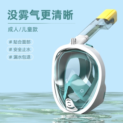 浮潜三宝防雾潜水镜面罩套装