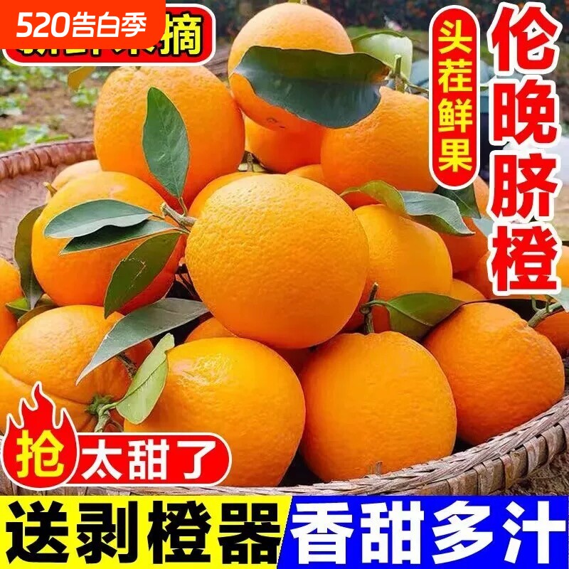 正宗湖北秭归伦晚脐橙新鲜现摘香甜橙子孕妇水果春橙9斤产地直供