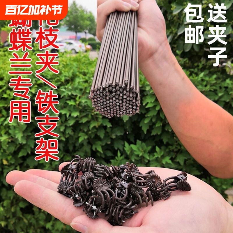 蝴蝶兰专用支架兰花卉固定夹子保护帽植物固定枝器包塑花架支撑杆
