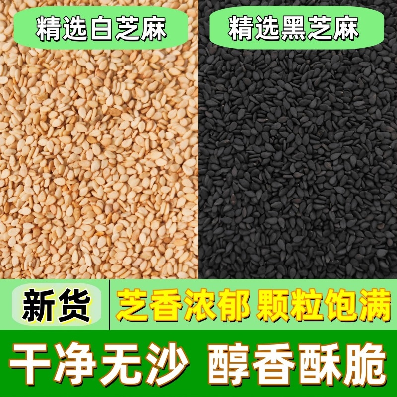 1-5斤生黑芝麻新白芝麻带皮颗粒饱满无沙无染色新货散装半斤自种