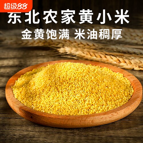 东北朝阳黄小米五谷粗粮