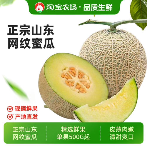 海南网纹蜜瓜 玫珑冰淇淋蜜瓜当季新鲜水果整箱