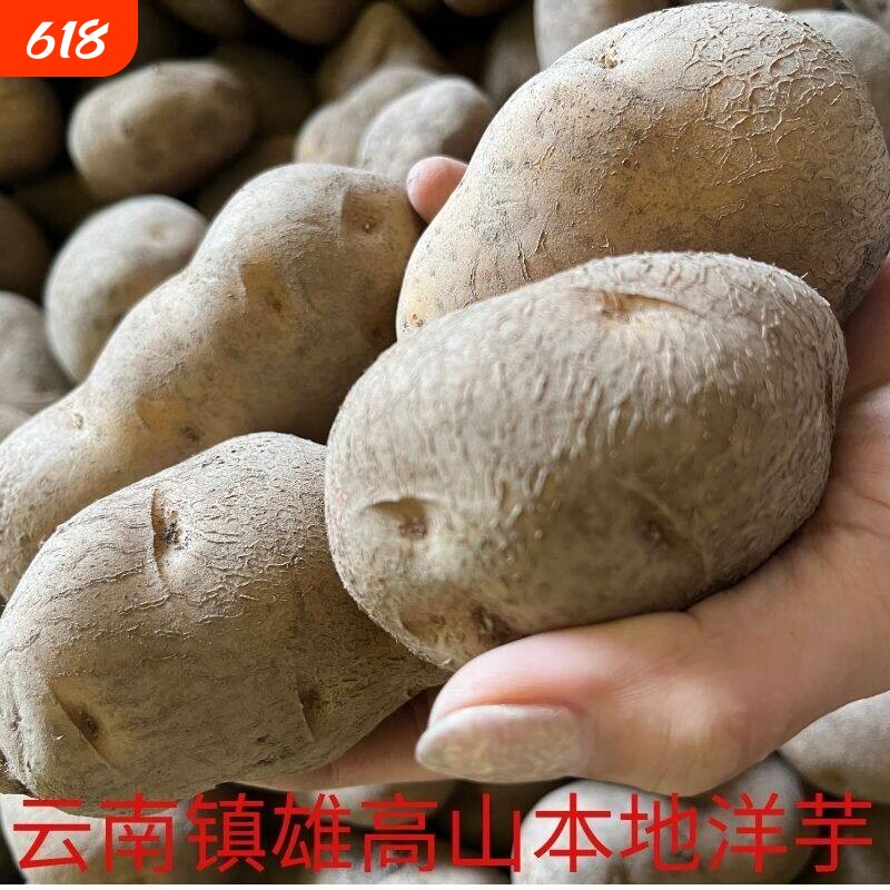 云南昭通特产本地老品种黄心洋芋土豆每份10斤
