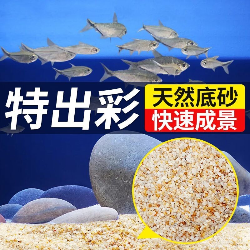【寄居蟹专用】免洗海沙沙水草螃蟹底沙石乌龟铺底纯天然流沙鱼缸