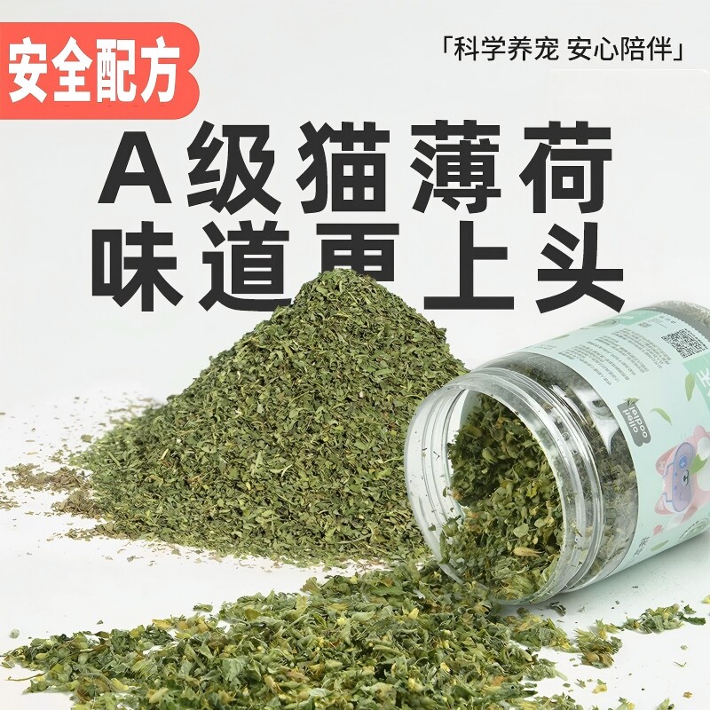 猫宠物达人推荐!猫薄荷粉末天然图片