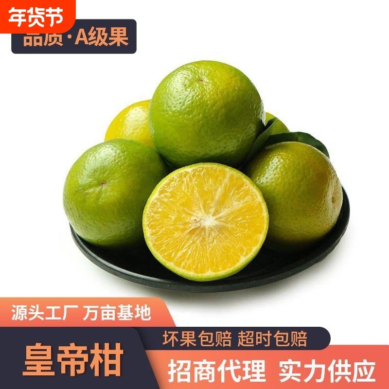 武鸣皇帝柑新鲜橘子薄皮汁多蜜桔应季孕妇水果果园现摘源头原产地,水产肉类/新鲜蔬果/熟食,桔子,淘宝优惠券,粉丝福利购,淘宝优惠卷