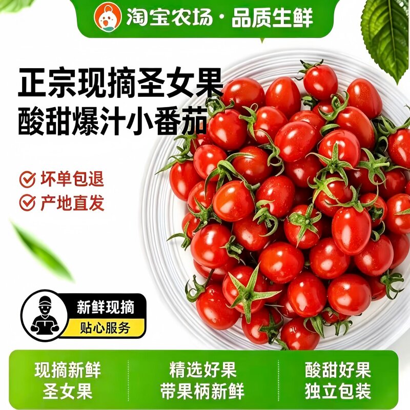 正宗圣女果小番茄新鲜水果樱桃小西红柿生吃应季独立装现摘农场
