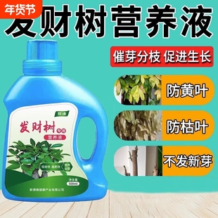 叶烂黄叶发财营养液专用居家肥料烂掉盆栽叶子枯死树黄防枯萎日用
