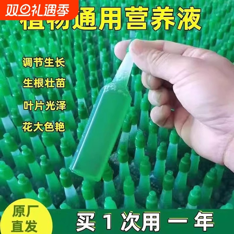 绿萝营养液花肥料盆栽通用型家用水培植物富贵竹花卉养花发财树肥