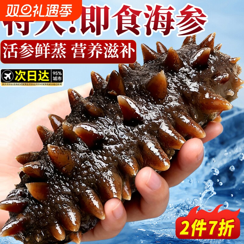 海参即食鲜活鲜食辽刺参干货大海生叁孕妇刺参礼盒500g特价连个装