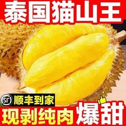 泰国进口冷冻榴莲肉树熟猫山王榴莲肉650g 榴莲 生鲜水果