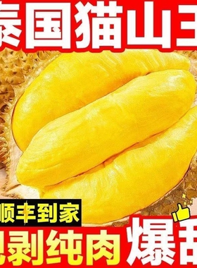 泰国进口冷冻榴莲肉树熟猫山王榴莲肉650g 榴莲 生鲜水果