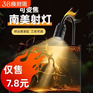 三定时迷你鱼缸射灯南美造景水草灯鱼缸灯led原生缸灯小缸变焦