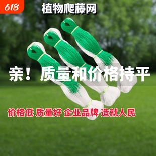 瓜豆黄瓜豆角苦瓜碗豆荷兰豆四季豆吊瓜植物爬藤网种植网攀爬农用