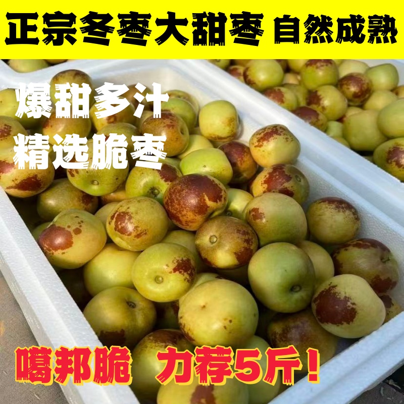 正宗山东沾化冬枣新鲜脆枣特级大枣脆甜大枣5斤装手提装整箱包邮