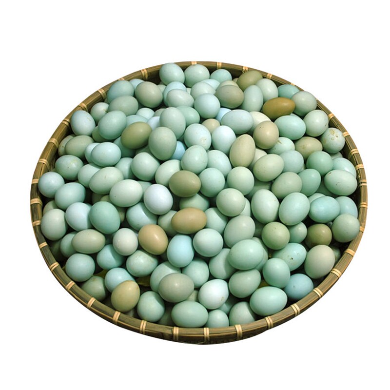 新鲜农家散养绿壳乌鸡蛋谷物喂养现捡现发宝宝辅食营养美味