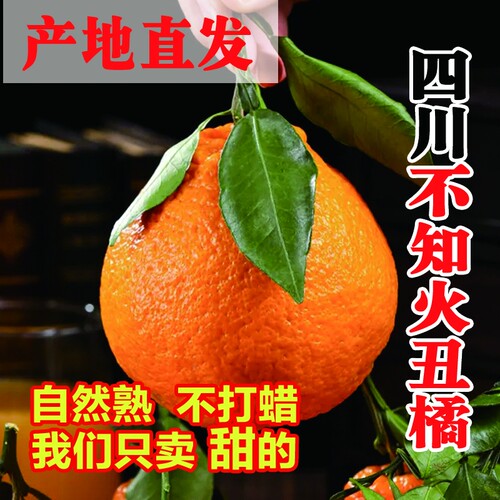 产地直供丑橘新鲜大果不知火