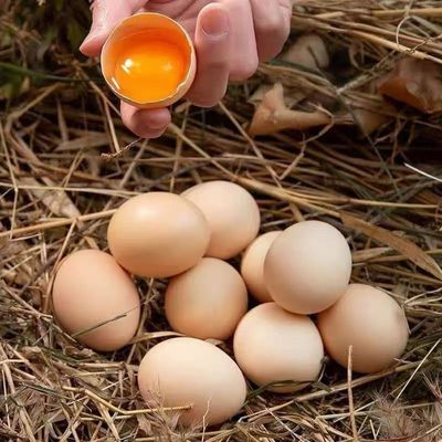 九华山土鸡蛋20枚高山散养竹林蛋土鸡蛋40g新鲜现捡现发包邮