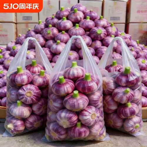 9斤大蒜新鲜紫皮头云南现挖新蒜大蒜1斤批发当季紫红皮蒜糖醋湿蒜