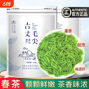 湘西古丈毛尖春茶新茶正宗高山明前绿茶嫩芽茶叶袋装炒青茶浓香型