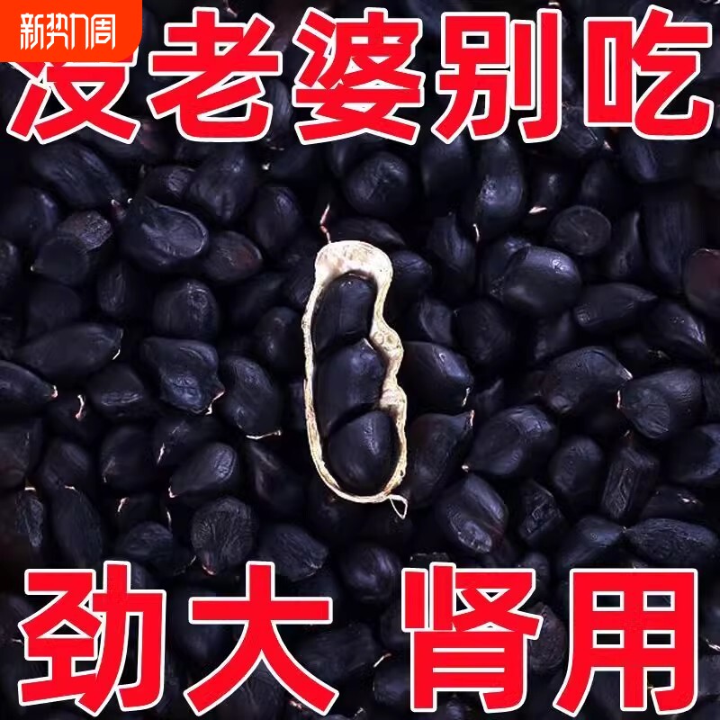 2024黑皮富硒黑花生带壳新货农家花生新鲜种子黑色花青素健康