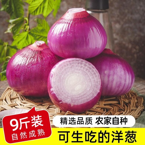 2025紫皮洋葱大圆葱5斤9斤整箱装包邮鲜嫩多汁无添加去腥增香洋葱