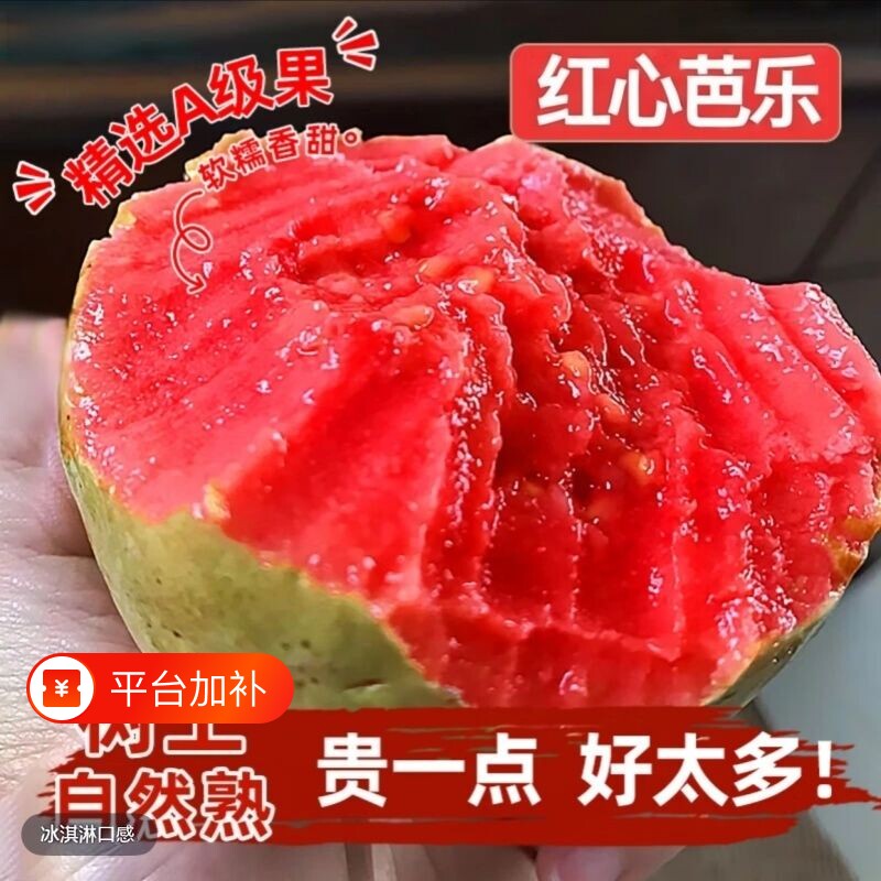 红心芭乐果土软番石榴软糯新鲜当季孕妇水果冰淇淋自提好吃告白