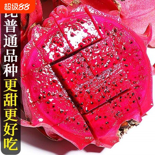 当季红心火龙果广西金都一号新鲜应季时令水果红肉孕妇水果