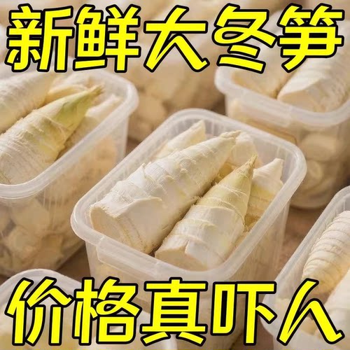 当季大冬笋新鲜竹笋楠竹笋水煮笋春笋清水笋蔬菜火锅食材批发