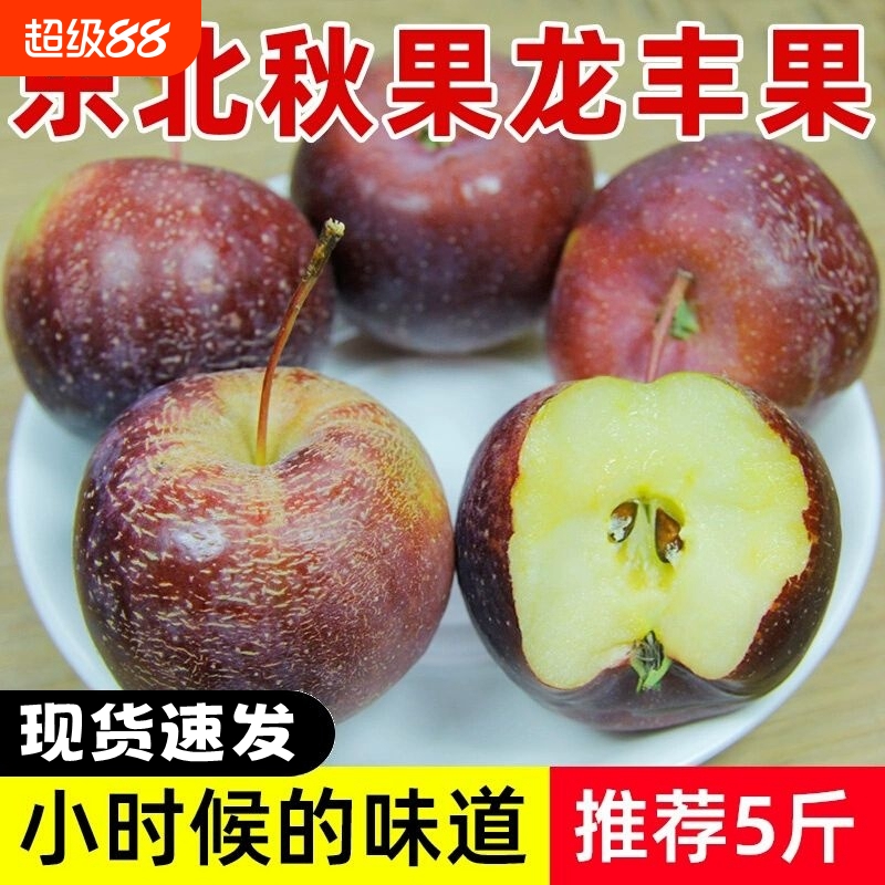 东北龙丰果大秋果新鲜沙果海棠果酸甜孕妇小苹果水果特产整箱5斤