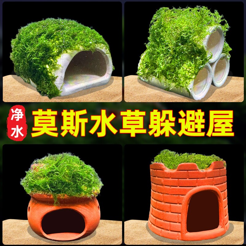 【狂欢价】水屿鱼鱼缸水草造景莫斯水草真植物躲避罐虾屋摆件小鱼躲避屋套餐