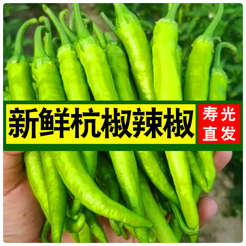 新鲜杭辣椒辣椒小辣椒香辣新鲜优质蔬菜蔬菜椒水果杭椒不是线椒,水产肉类/新鲜蔬果/熟食,辣椒,淘宝优惠券,粉丝福利购,淘宝优惠卷