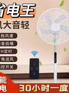 高路华解放双手落地扇远程遥控