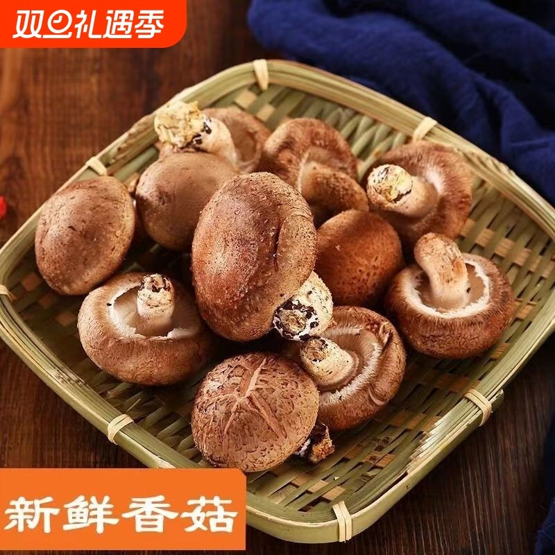伏牛山新鲜湿香菇蘑菇菌菇火锅食材涮菜蔬菜农家特产冬菇自种