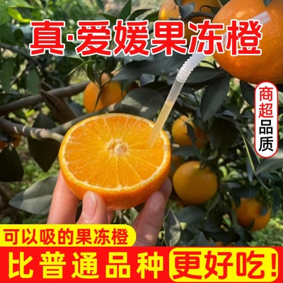 四川爱媛果冻橙38号5斤新鲜水果当季整箱甜橙子手剥新鲜爱媛橙9斤