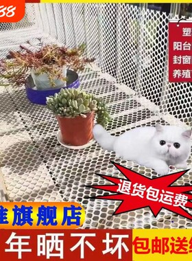 整张塑料养殖网鸡鸭鹅育雏网垫漏粪网羊床养蜂养蚕水产防护网