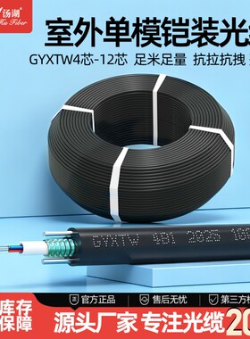 汤湖室外中心管式铠装光缆4/6/8/12芯单模光纤GYXTW光纤皮线户外