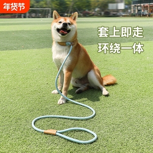 狗狗牵引绳中大型犬通用安全扣狗链项圈遛狗p链宠物用品