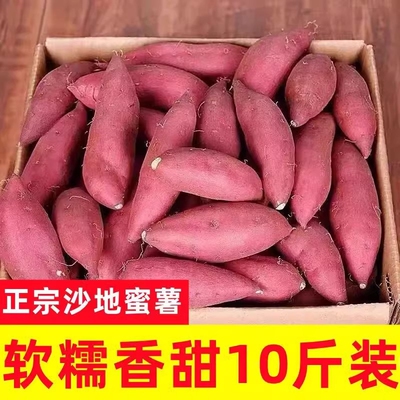 新鲜蜜薯9斤装|超1000次加购